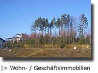 |> Wohn- / Geschftsimmobilien